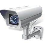 cameraaovivo